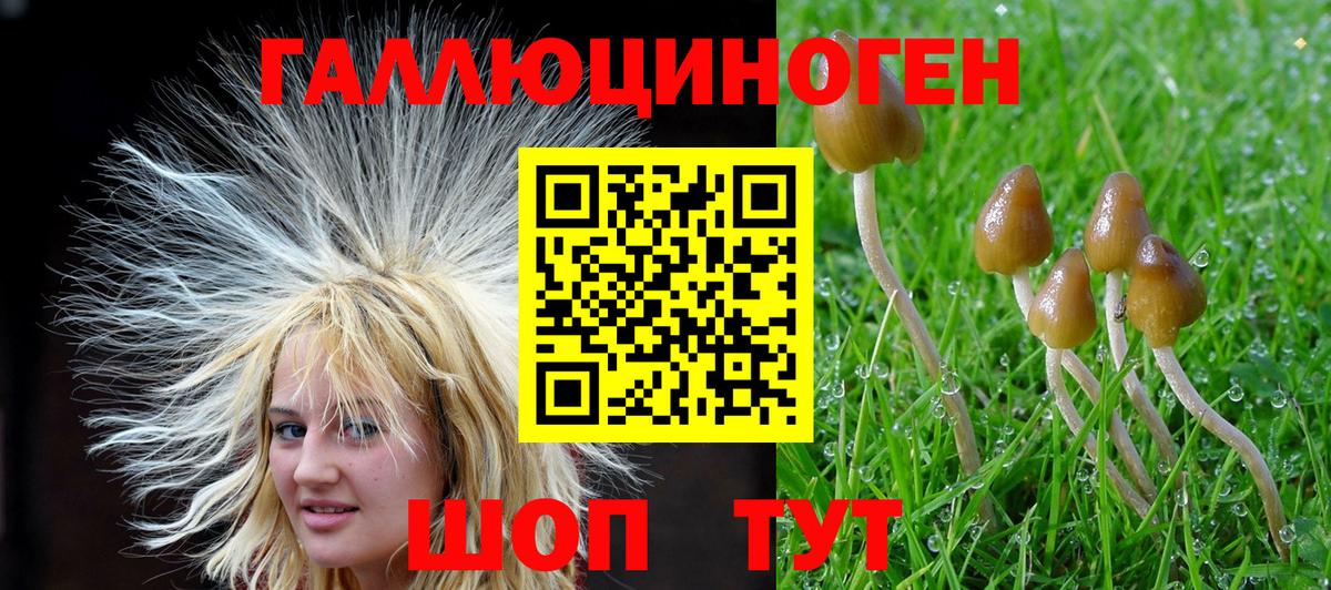 Псилоцибиновые грибы мухоморы  Галлюциногенные грибы ЛСД  Переславль-Залесский  Вход с VPN 
