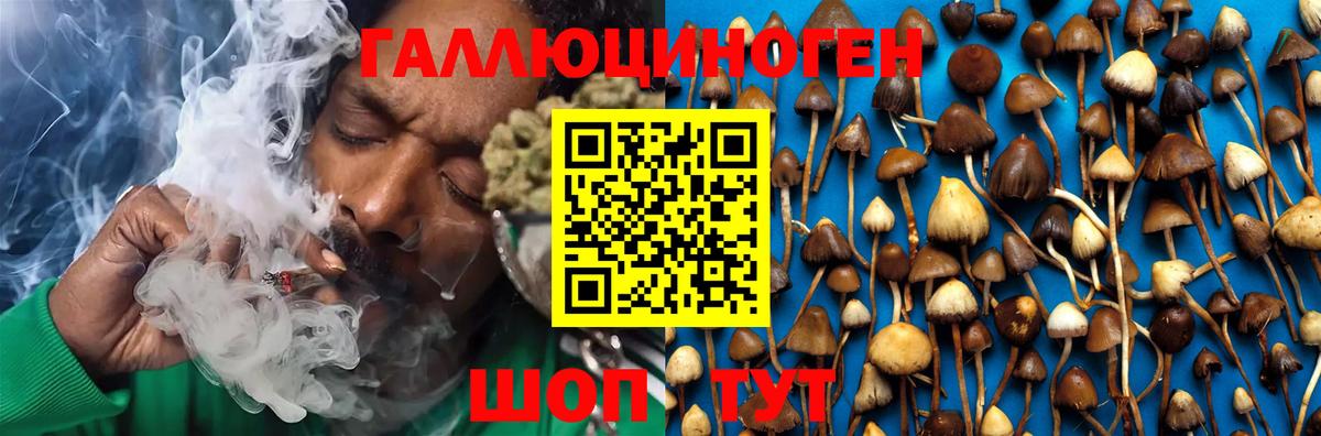 Псилоцибиновые грибы GOLDEN TEACHER Переславль-Залесский